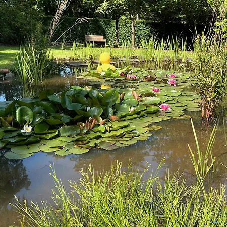 Bed & Breakfast Le Relais Des Fagnes Sart-lez-Spa